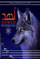 ahmedaldib